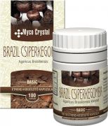  2018183F  Myco Crystal Brazil csiperkegomba, 100 db.