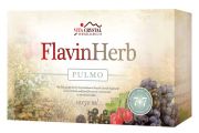  2024851F  FlavinHerb Pulmo, 10x50ml