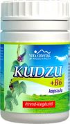  207372F  Kudzu+B6 kapszula, 100 db.