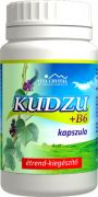  207380F  Kudzu+B6 kapszula, 250 db.