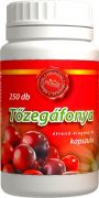  207010F  Tzegfonya kapszula, 250 db.