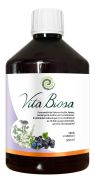  2029550F  Vita Biosa erdei gymlcs, 500 ml